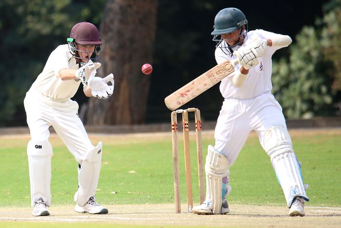 Arjun Malhotra, Cricket athlete